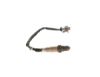 Oxygen Sensor -