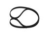 Timing Belt -