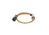 Oxygen Sensor -