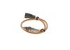 Oxygen Sensor -