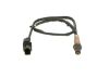 Oxygen Sensor Oxygen Sensor