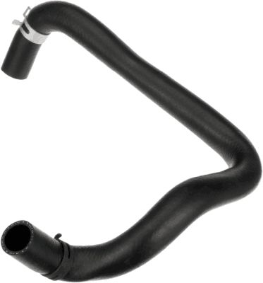 Radiator Hose -