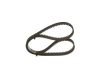 Timing Belt -