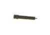 Nozzle and Holder Assembly Renault