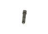 Nozzle and Holder Assembly Renault