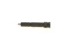Nozzle and Holder Assembly Renault