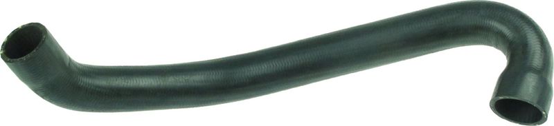 Radiator Hose -