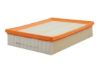 Air Filter Land Rover
