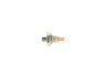 Oil Pressure Switch -