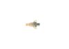Oil Pressure Switch -
