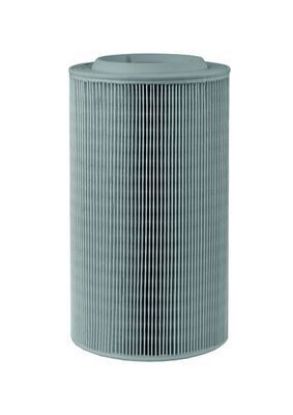 Air Filter PSA - 16 064 026 80