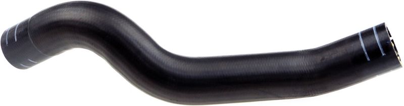 Radiator Hose -
