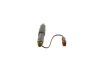 Nozzle and Holder Assembly A 003 017 93 21 MERCEDES-BENZ