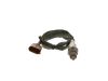 Oxygen Sensor -