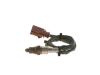 Oxygen Sensor -