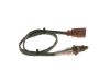 Oxygen Sensor -