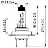 Bulb, spotlight H7 MasterDuty
