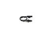 Oxygen Sensor -
