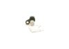 Sensor, crankshaft pulse -