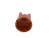 Distributor Cap -