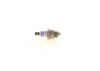Spark Plug -