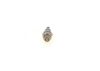 Spark Plug -