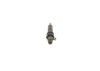 Nozzle and Holder Assembly CASE 2853 346