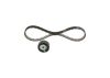 Timing Belt Kit -