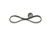 Timing Belt Kit -