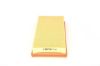 Air Filter -