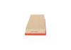 Air Filter RENAULT - 16 54 661 31R