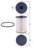 Fuel Filter Iveco