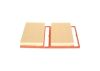 Air Filter -