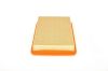 Air Filter -