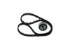 Timing Belt Kit -