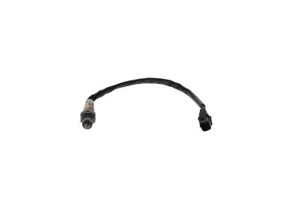 Oxygen Sensor -
