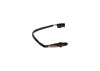 Oxygen Sensor -