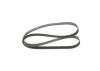 V-Ribbed Belt -