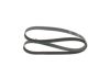 V-Ribbed Belt -