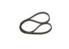 Timing Belt -