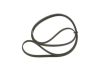 V-Ribbed Belt BMW - 11 28 2 244 179 - 5PK1815