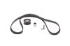 Timing Belt Kit -