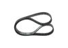 Timing Belt -