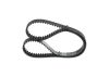 Timing Belt -