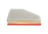 Air Filter BMW - 13 71 7 797 465