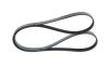 V-Ribbed Belt -