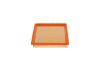 Air Filter Opel