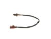 Oxygen Sensor -