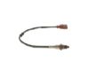 Oxygen Sensor -
