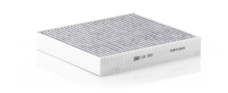 Filter, cabin air Ford Focus C-Max 03-